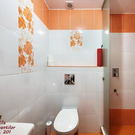 Dorobantilor 4* Kluż-Napoka