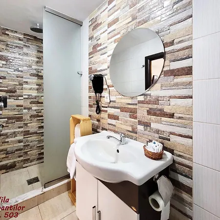 Dorobantilor Κλουζ-Ναπόκα