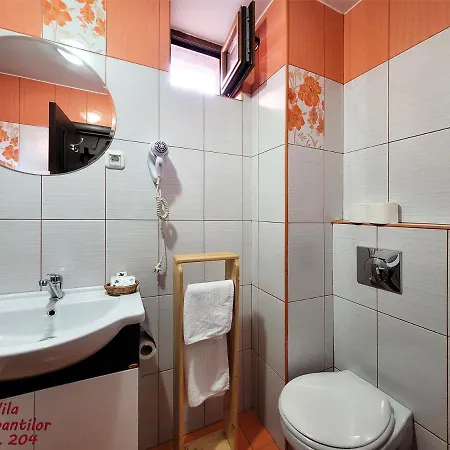 Ξενοδοχείο Dorobantilor