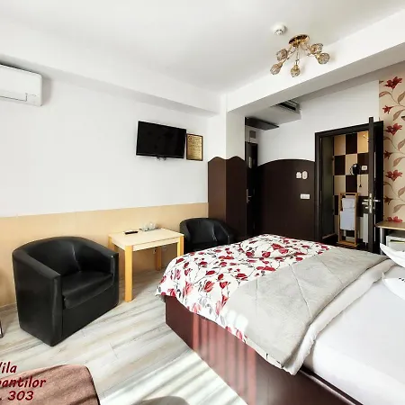 Ξενοδοχείο Dorobantilor 4*