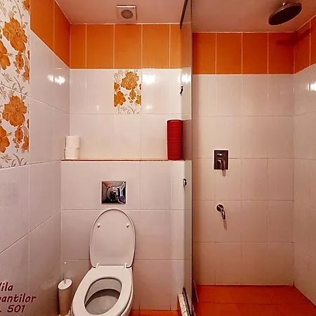 Dorobantilor Kolozsvár