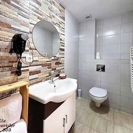 Dorobantilor Kolozsvár