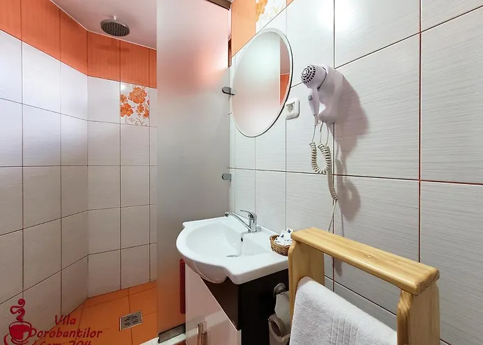 Hotel Dorobantilor Cluj-Napoca