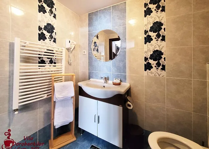 Dorobantilor 클루지나포카